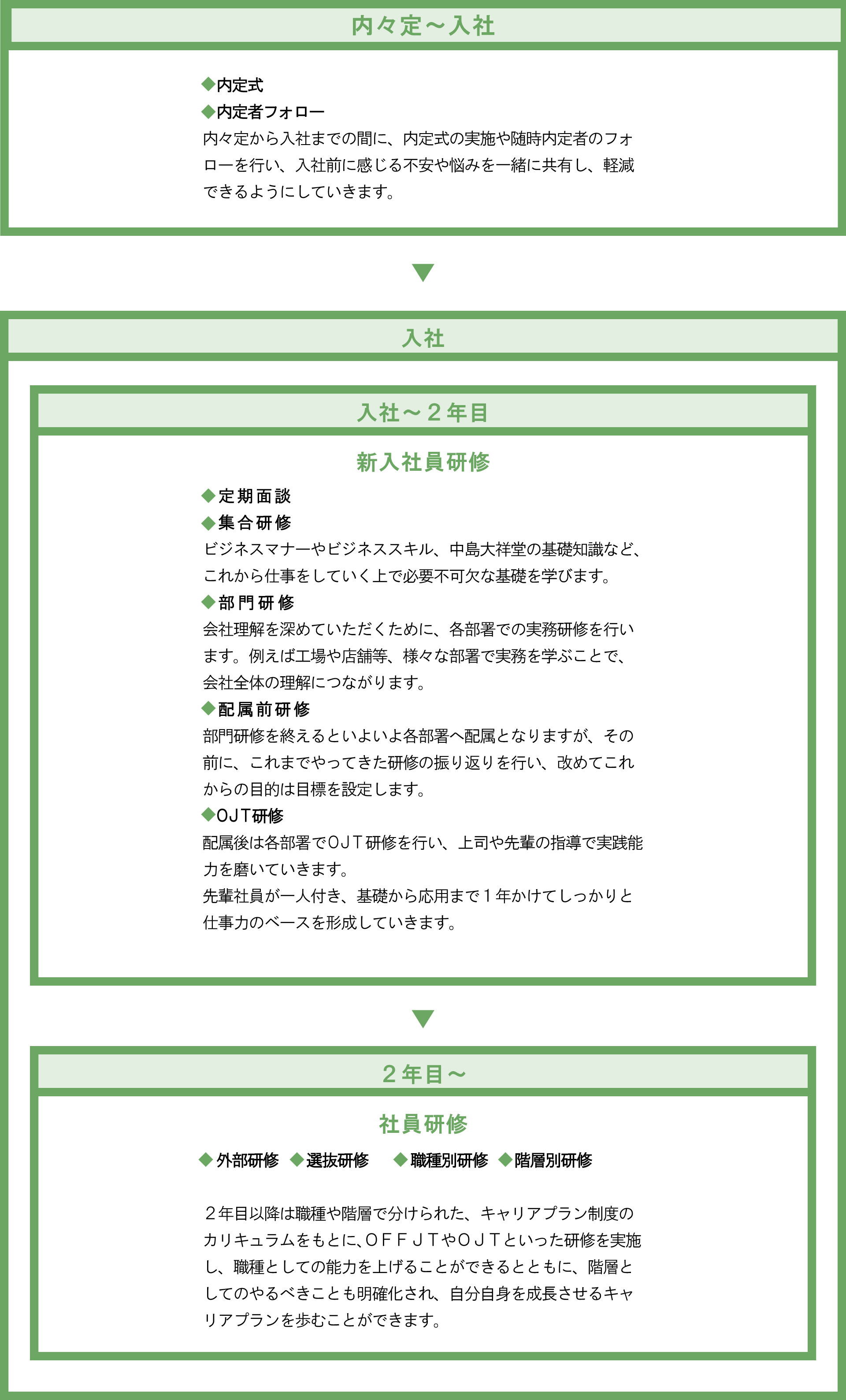 教育・研修制度のフロー